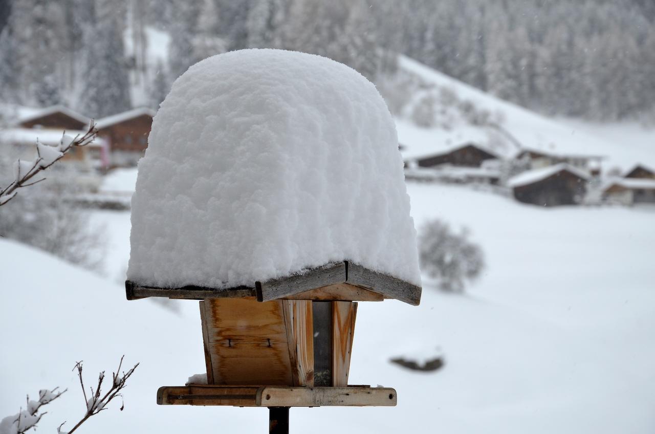 Ferienwohnung Haas Maria Neustift im Stubaital Esterno foto